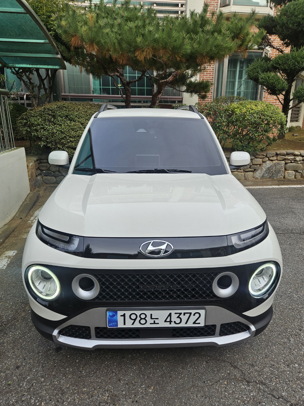 일단 내차 점검